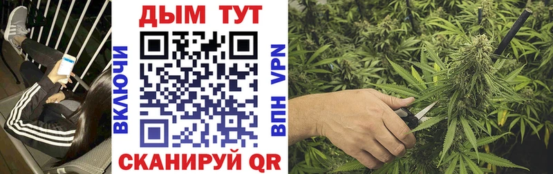 цена   Михайловка  Каннабис гибрид 